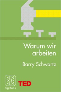Warum wir arbeiten - Barry Schwartz - E-Book