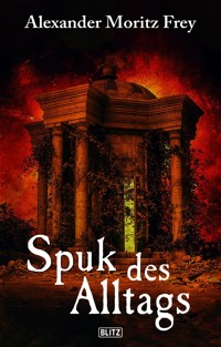 Spuk des Alltags - Alexander-Moritz Frey - E-Book