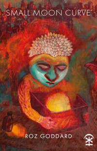 Small Moon Curve - Roz Goddard - E-Book