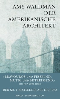 Der amerikanische Architekt - Amy Waldman - E-Book