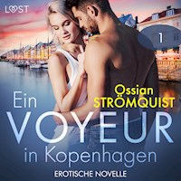 Ein Voyeur in Kopenhagen 1 - Erotische Novelle - Ossian Strömquist - Hörbuch