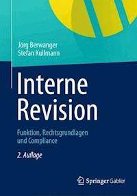Interne Revision - Jörg Berwanger - E-Book