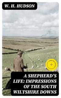 A Shepherd's Life: Impressions of the South Wiltshire Downs - W. H. Hudson - E-Book
