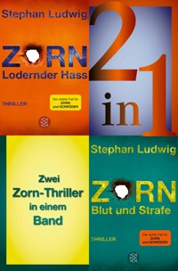 Lodernder Hass / Blut und Strafe – Zwei Zorn-Thriller in einem Band - Stephan Ludwig - E-Book