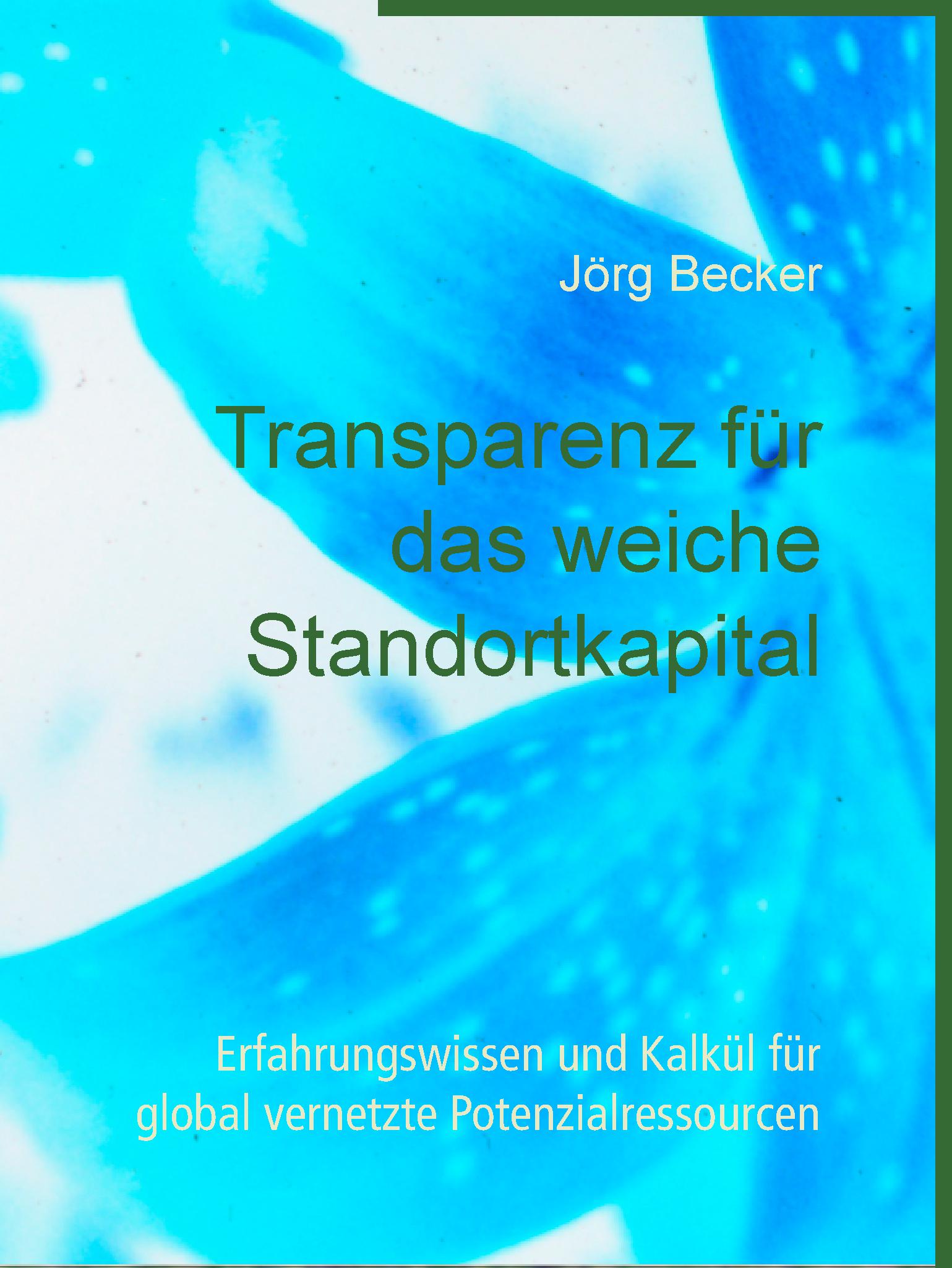 Transparenz für das weiche Standortkapital - Jörg Becker - E-Book
