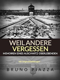 Weil andere vergessen (Übersetzt) - Bruno Piazza - E-Book