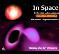 Black holes - Supernovae - Barbara Stein - E-Book