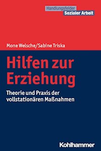 Hilfen zur Erziehung - Mone Welsche - E-Book