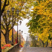 Человек который больше всего любил спать - Кирилл Куталов - Hörbuch