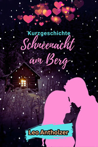Schneenacht am Berg - Leo Antholzer - kostenlos E-Book