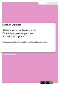 Risiken, Verwundbarkeit und Bewältigungsstrategien von Naturkatastrophen - Stephan Glöckner - E-Book