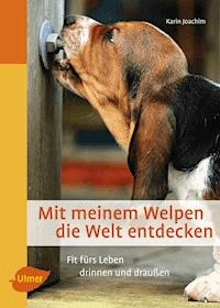 Mit meinem Welpen die Welt entdecken - Karin Joachim - E-Book