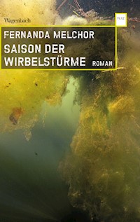 Saison der Wirbelstürme - Fernanda Melchor - E-Book
