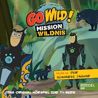 Folge 16: Das Geheimnis der Seidenspinnen / Der schwarze Jaguar (Das Original Hörspiel zur TV-Serie) - Andreas Lueck - Hörbuch