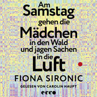 Am Samstag gehen die Mädchen in den Wald und jagen Sachen in die Luft - Fiona Sironic - Hörbuch