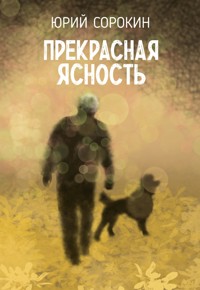 Прекрасная ясность - Юрий Сорокин - E-Book
