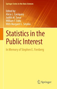 Statistics in the Public Interest -  - E-Book