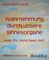 Wahrnehmung durch unsere Sinnesorgane - Klaus-Rainer Martin - kostenlos E-Book