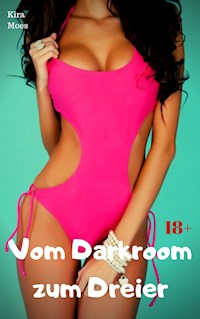 Vom Darkroom zum Dreier - Kira Moes - E-Book