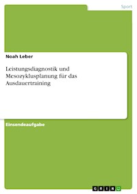Leistungsdiagnostik und Mesozyklusplanung für das Ausdauertraining - Noah Leber - E-Book