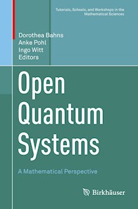 Open Quantum Systems -  - E-Book