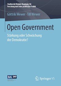 Open Government - Göttrik Wewer - E-Book