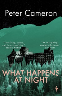 What Happens at Night - Peter Cameron - E-Book