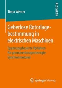 Geberlose Rotorlagebestimmung in elektrischen Maschinen - Timur Werner - E-Book