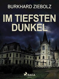 Im tiefsten Dunkel - Kriminalroman - Burkhard Ziebolz - E-Book