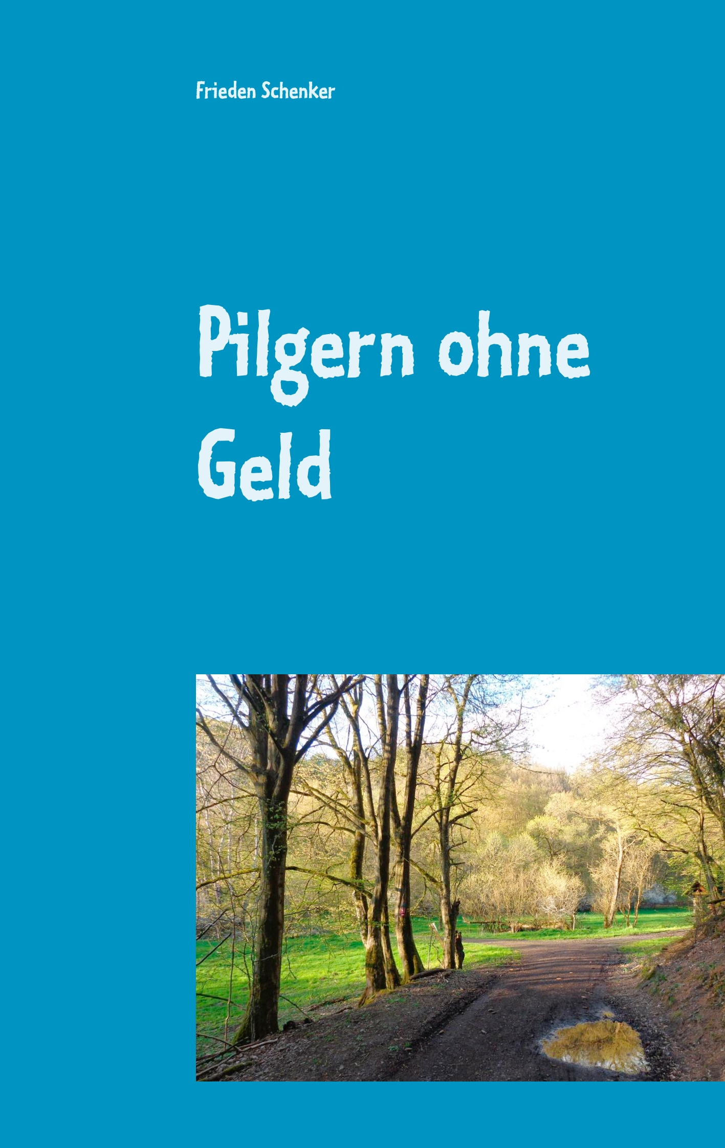 Pilgern ohne Geld - Frieden Schenker - E-Book