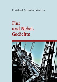 Flut und Nebel - Christoph Sebastian Widdau - E-Book