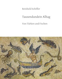 Tausendundein Alltag - Reinhold Schiffer - E-Book