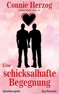 Eine schicksalhafte Begegnung - Connie Herzog - E-Book
