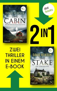 The Cabin & The Stake - David Hewson - E-Book