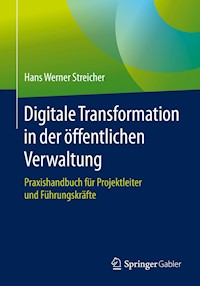 Digitale Transformation in der öffentlichen Verwaltung - Hans Werner Streicher - E-Book