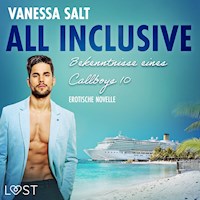 All inclusive – Bekenntnisse eines Callboys 10 - Erotische Novelle - Vanessa Salt - E-Book + Hörbuch