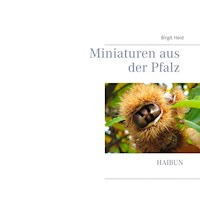Miniaturen aus der Pfalz - Birgit Heid - E-Book