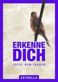 Erkenne Dich Folge dem Falken - Estrella - E-Book
