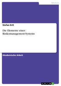 Die Elemente eines Risikomanagement-Systems - Stefan Ertl - E-Book