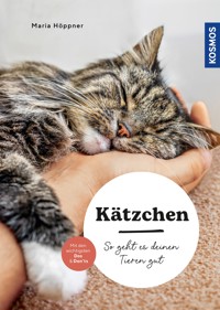 Kätzchen - Maria Höppner - E-Book