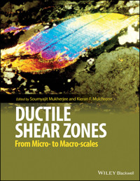Ductile Shear Zones - Soumyajit Mukherjee - E-Book