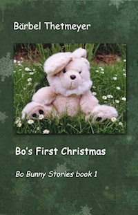 Bo's First Christmas - Bärbel Thetmeyer - E-Book