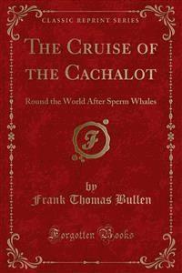The Cruise of the Cachalot - Frank Thomas Bullen - E-Book