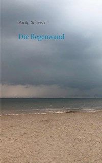 Die Regenwand - Marilyn Schliesser - E-Book