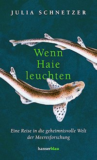 Wenn Haie leuchten - Julia Schnetzer - E-Book