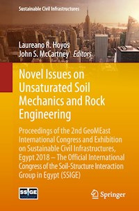 Novel Issues on Unsaturated Soil Mechanics and Rock Engineering -  - E-Book
