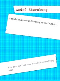 Schuldenkonsolidierungsstrategien - Andre Sternberg - E-Book