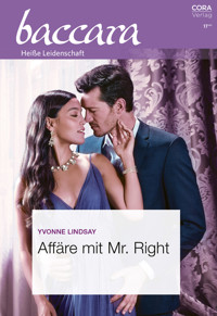 Affäre mit Mr. Right - YVONNE LINDSAY - E-Book