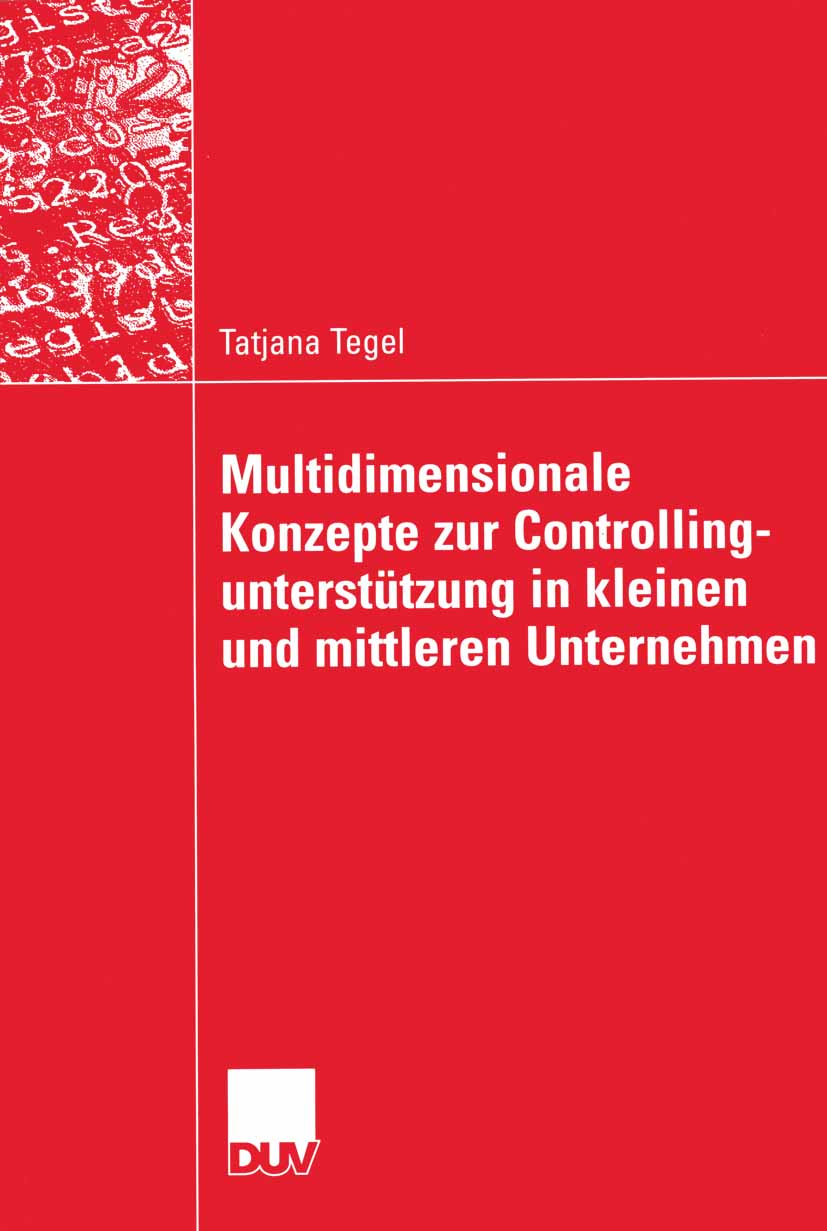 Multidimensionale Konzepte zur Controllingunterstützung in kleinen und mittleren Unternehmen - Tatjana Tegel - E-Book
