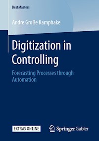 Digitization in Controlling - Andre Große Kamphake - E-Book